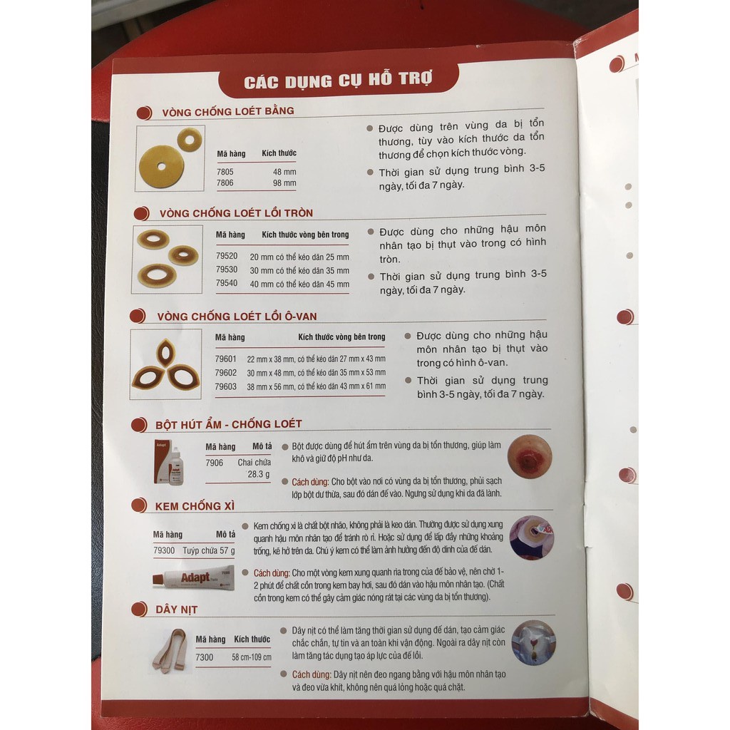 Dây Nịt Hậu Môn Nhân Tạo Hollister Adapt Belt 7300