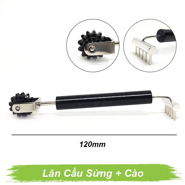 Diện Chẩn | Lăn Cầu Sừng Cào Nhỏ Hàng Đẹp