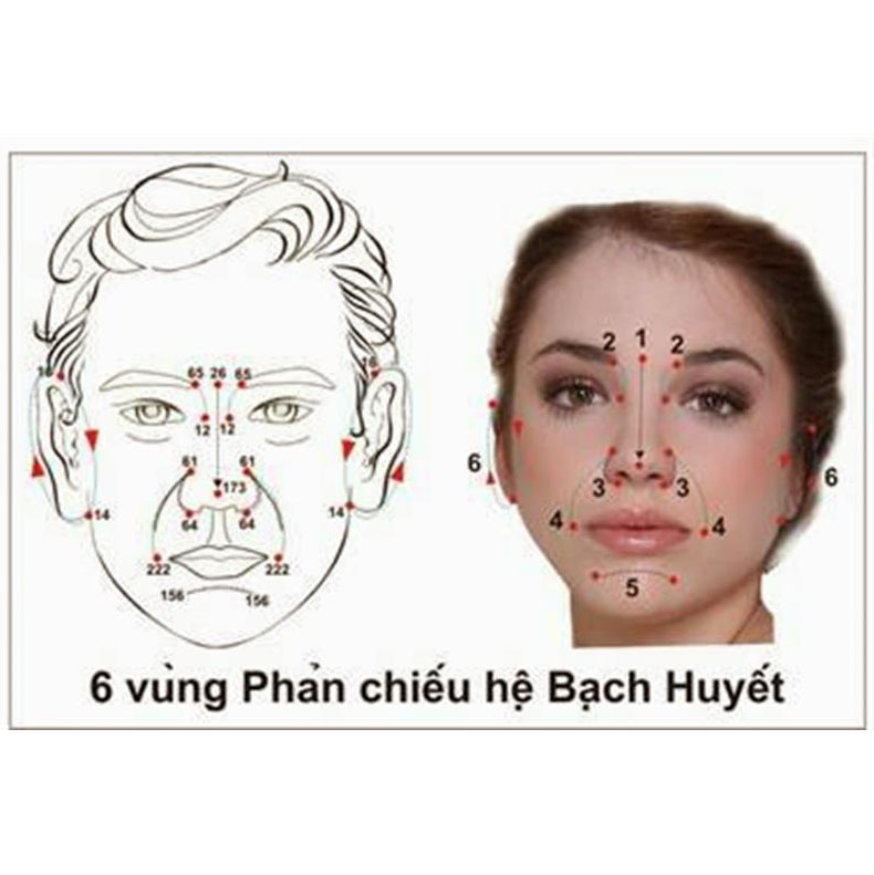 Diện Chẩn | Dò Đinh Sao Chổi (3 Chấu) Hàng Đẹp