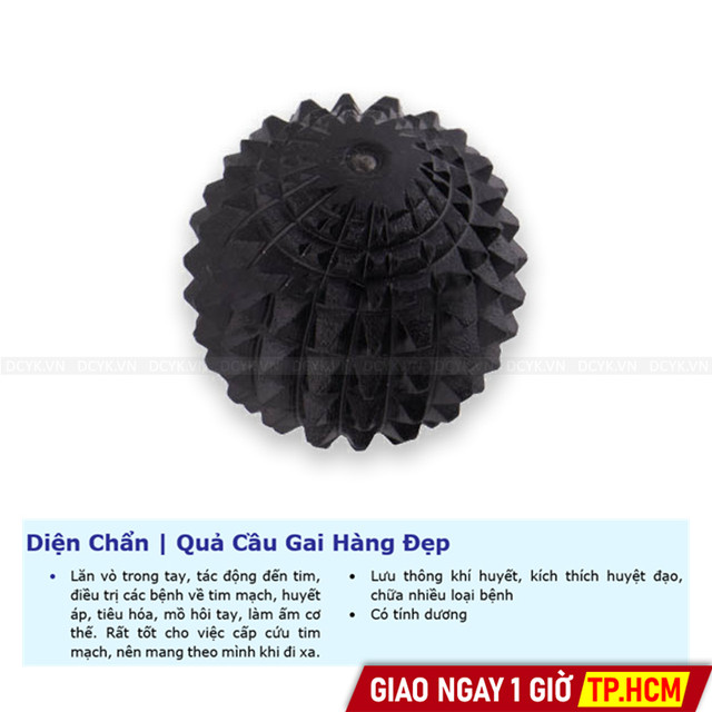 Diện Chẩn | Quả Cầu Gai Hàng Đẹp