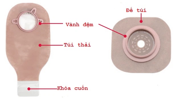Túi Nước Tiểu Hậu Môn Nhân Tạo 1 Mảnh Hollister 8460 (Đế Bằng)