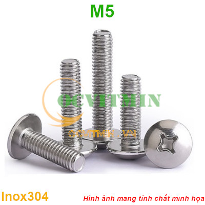 Ốc Vít Bake Đầu Dù M5 Inox 304