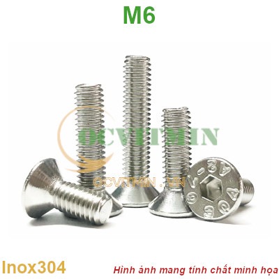 Ốc Lục Giác Đầu Bằng M6 Inox 304