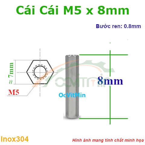 Trụ Inox304 Cái Cái Lục Giác M5x8mm - Tru Cai Cai