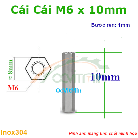 Trụ Inox304 Cái Cái Lục Giác M6x10mm - Tru Cai Cai