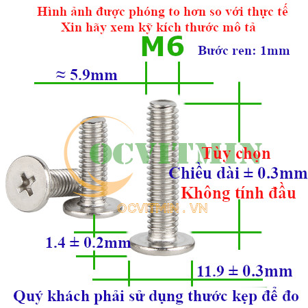 Ốc Bake Đầu Dẹp Mỏng M6 Inox 304