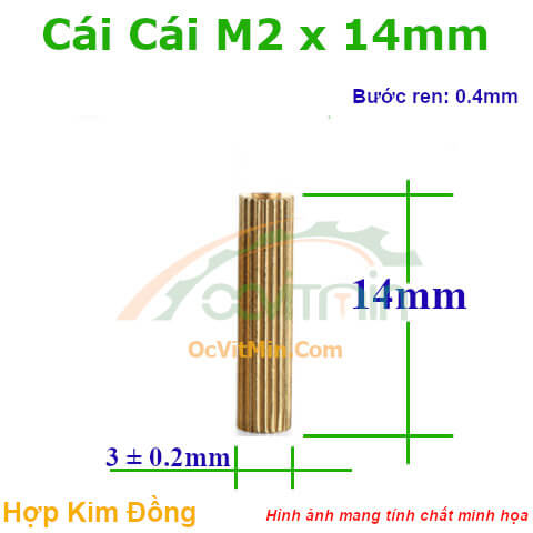 Trụ Đồng Cái Cái M2x14mm - Tru Dong Cai Cai
