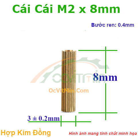 Trụ Đồng Cái Cái M2x8mm - Tru Dong Cai Cai