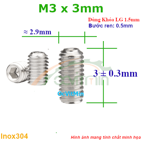 Vít Trí Đuôi Lõm M3x3mm Inox304 - Vit Tri Duoi Lom