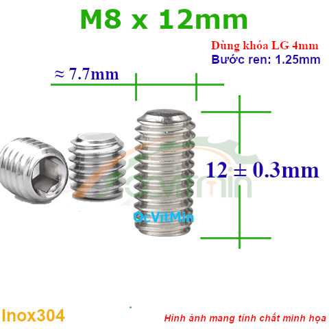 Vít Trí Đuôi Bằng M8x12mm Inox304 - Vit Tri Duoi Bang