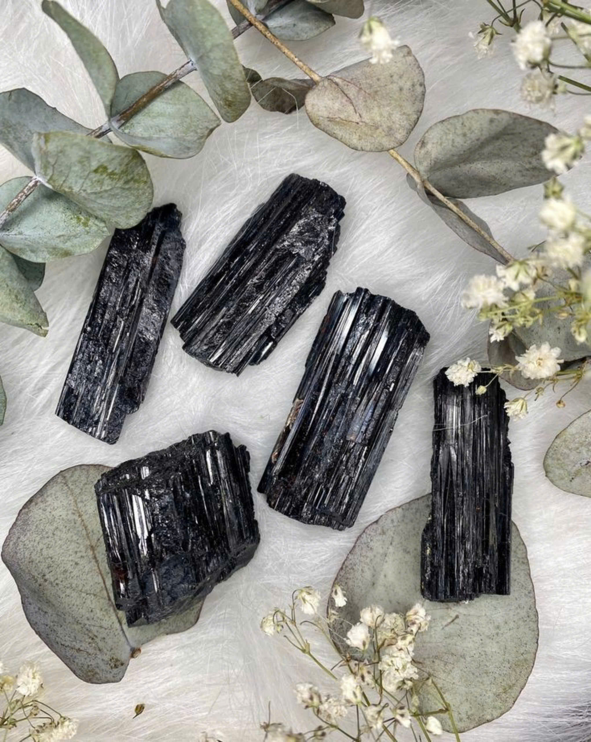 Năm mảnh Tourmaline đen schorl th&ocirc; đặt tr&ecirc;n nền trắng, nh&oacute;m Tourmaline c&oacute; gi&aacute; thấp nhất