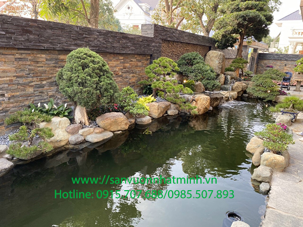 Thi công hồ cá koi nhà anh Hoàng - Hà Nội