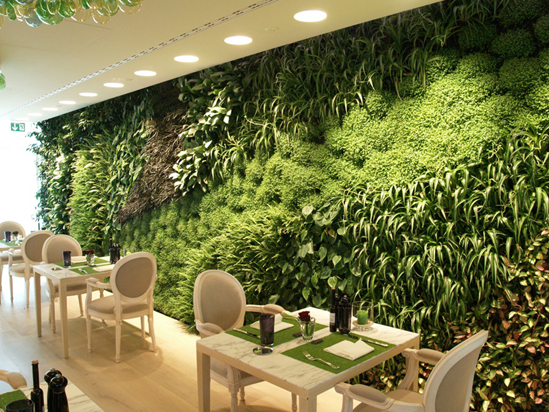 Cách làm tường cây xanh trong nhà đẹp và phù hợp với không gian