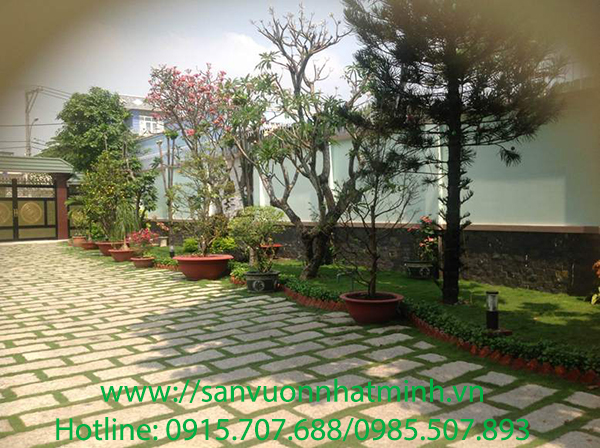 Thi công và trang trí sân vườn nhà anh Thanh tại quận Bình Tân - Tp Hồ Chí Minh Thi công và trang trí sân vườn nhà anh Thanh tại quận Bình Tân - Tp Hồ Chí Minh