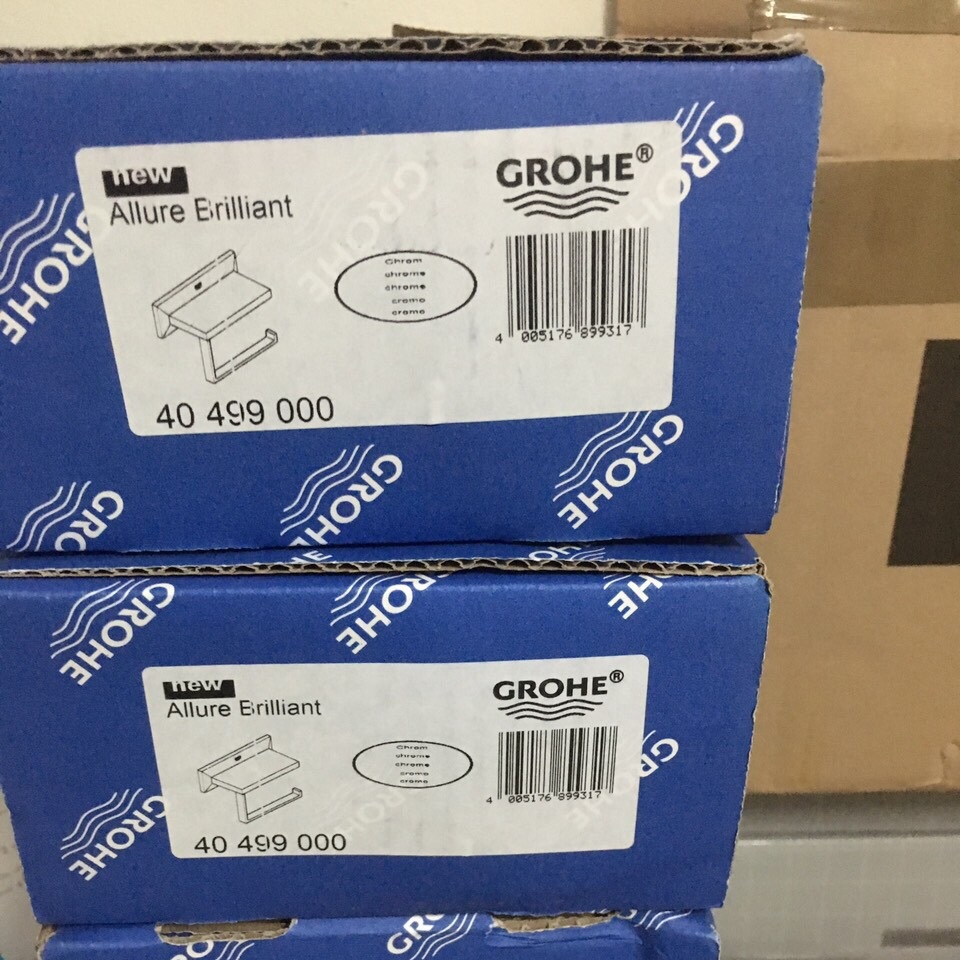 Treo giấy vệ sinh Grohe Allure Brilliant 40499000