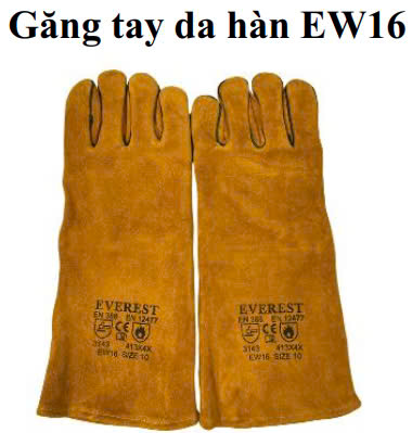 gang-tay-da-han-ew16