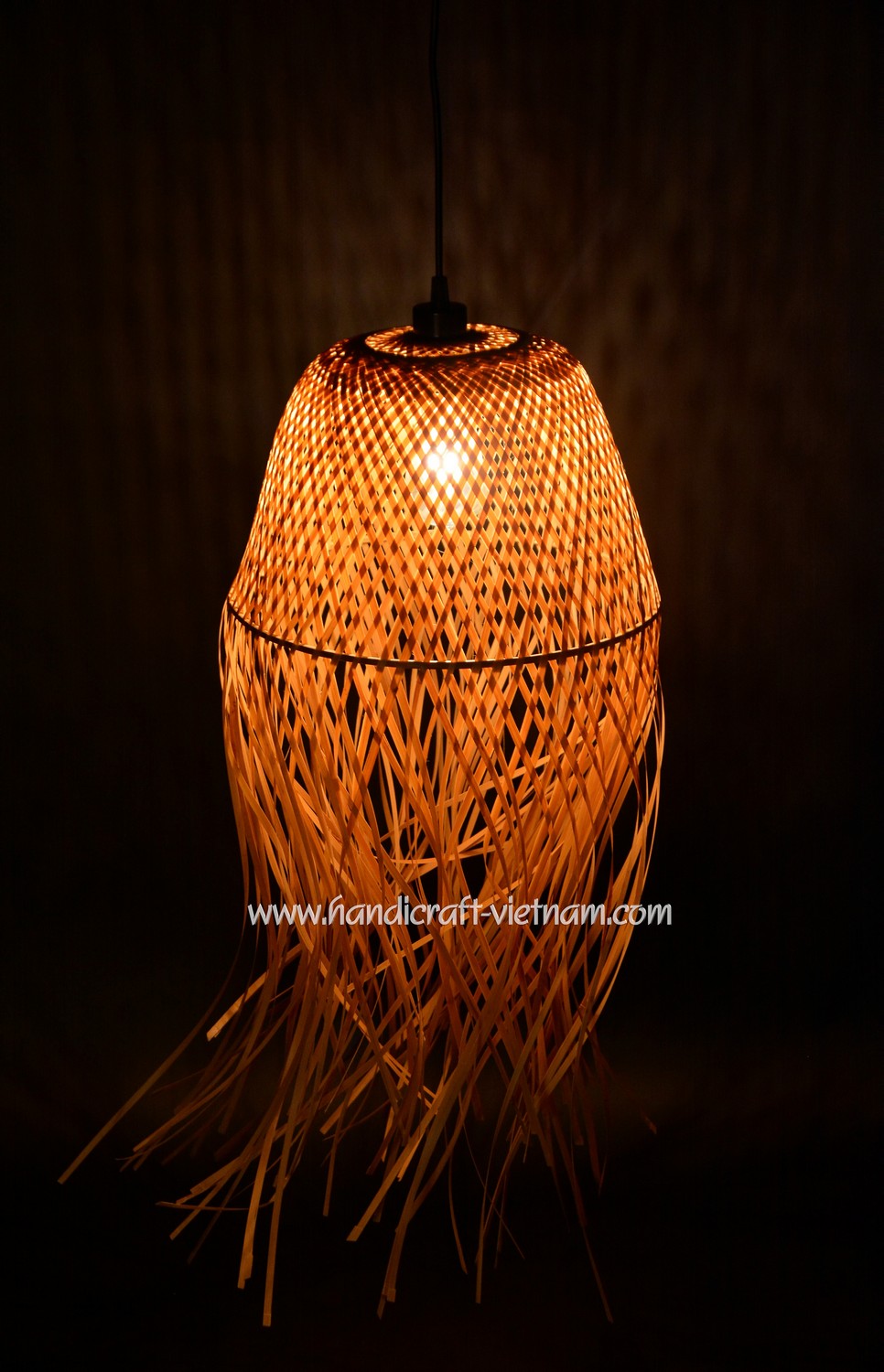 Chao đèn con sứa