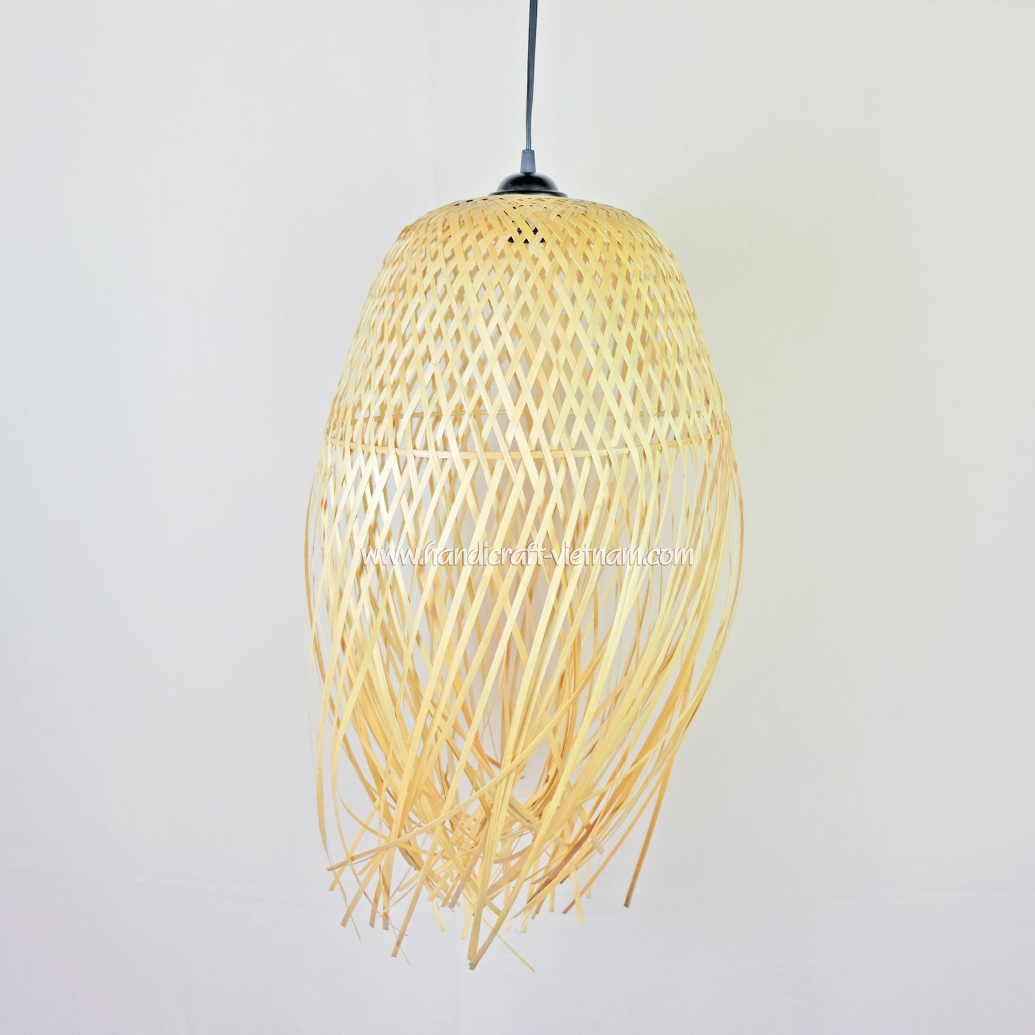 Chao đèn con sứa