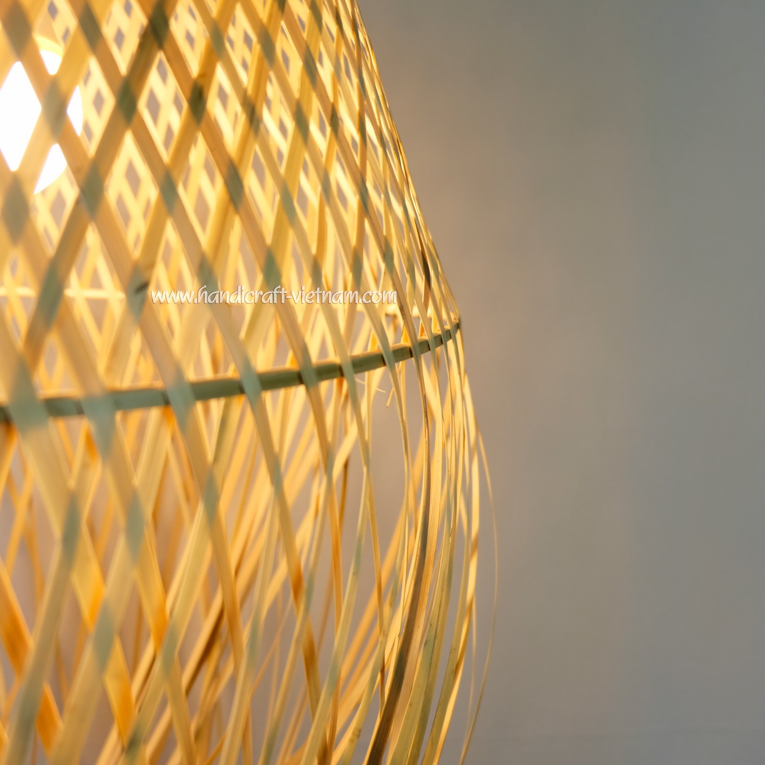 Chao đèn con sứa