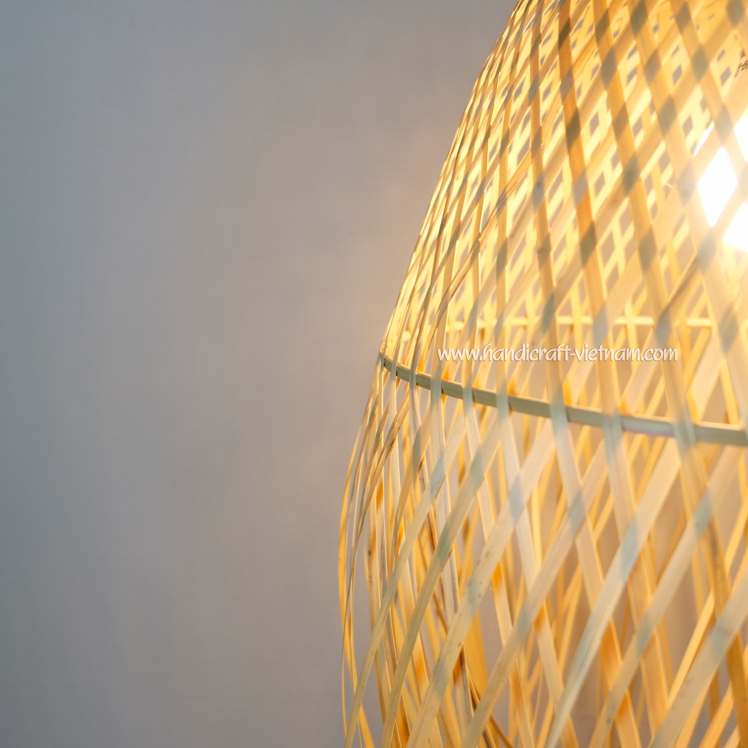 Chao đèn con sứa