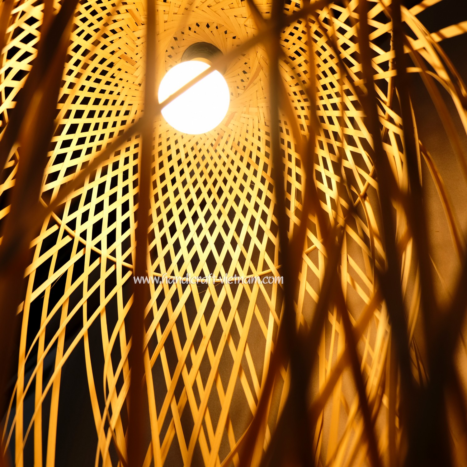 Chao đèn con sứa