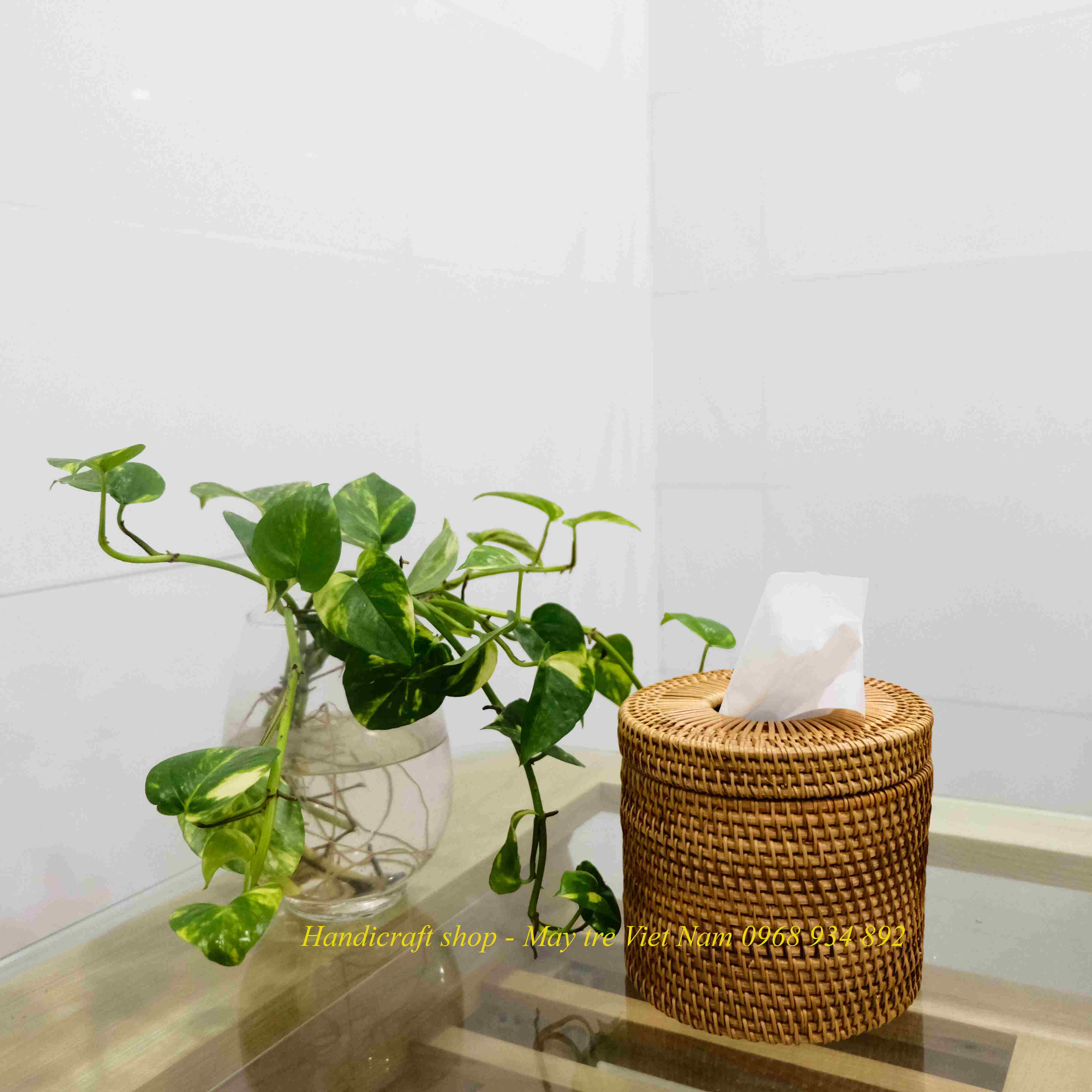 Hộp giấy ăn tròn