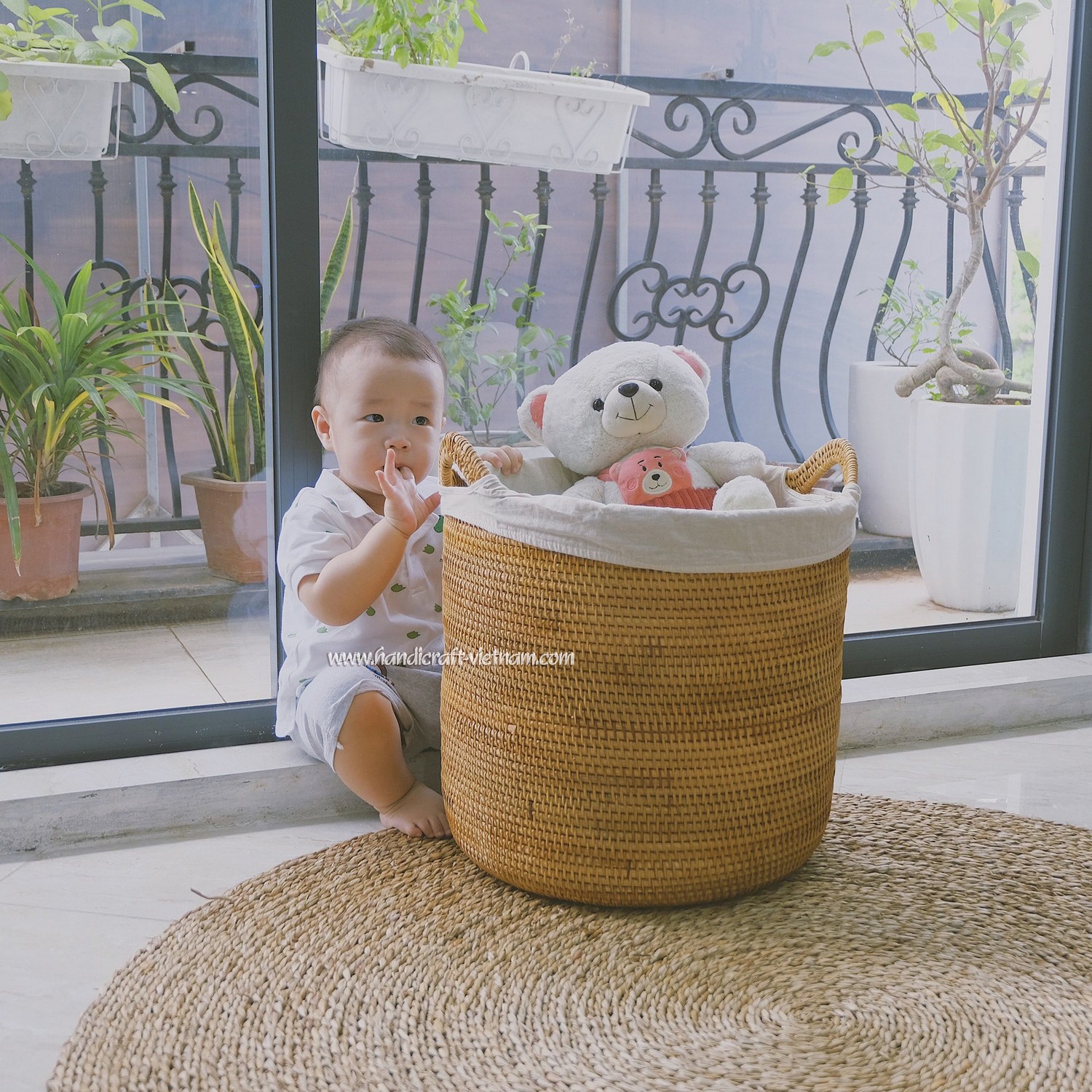 Giỏ guột tai mèo