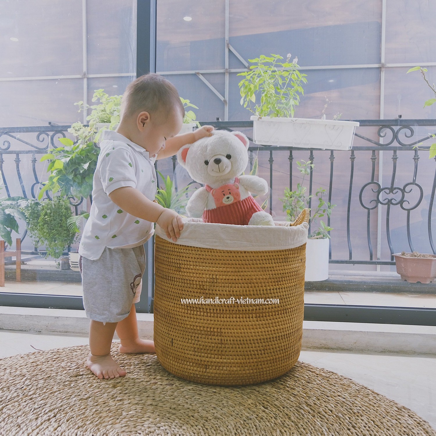 Giỏ guột tai mèo