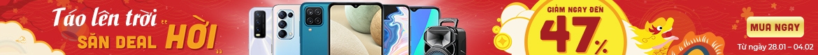 Evo Mobile
