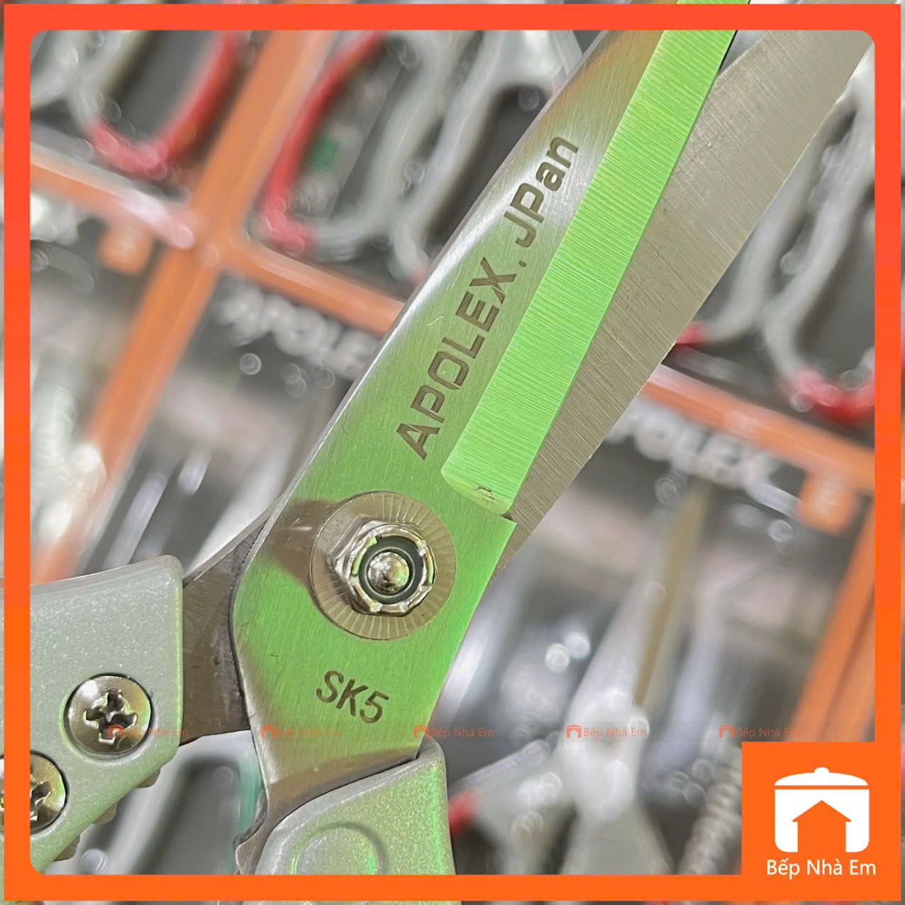 Kéo Thép Nhật Cán Nhựa Đúc Apolex Cao Cấp - Hàng Nhập Khẩu Trực Tiếp