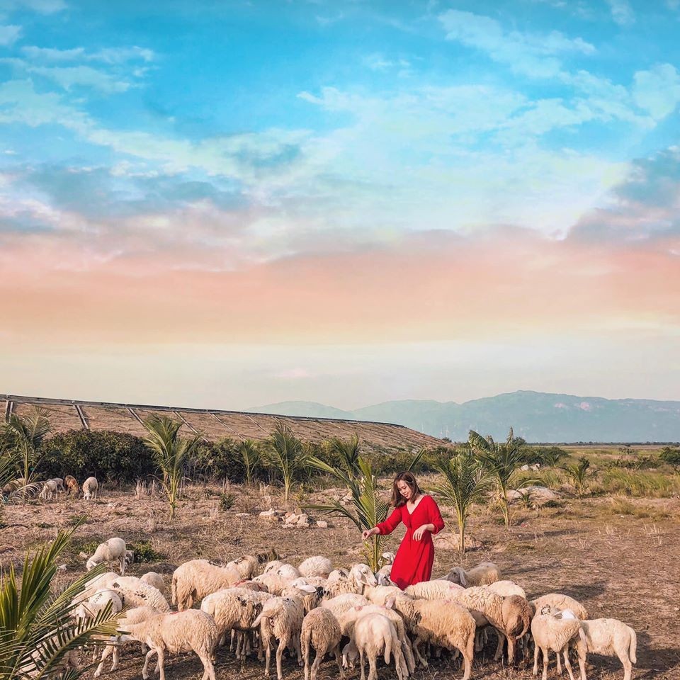 NINH THUẬN - VĨNH HY - KHÁM PHÁ VÙNG ĐẤT " NẮNG NHƯ RANG , GIÓ NHƯ PHAN", Bay Vietnam Airline, Khách sạn 4*
