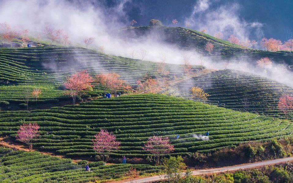 SA PA - ĐỈNH FANSIPAN - CẦU KÍNH RỒNG MÂY - BẢN CÁT CÁT, Khách sạn 4*