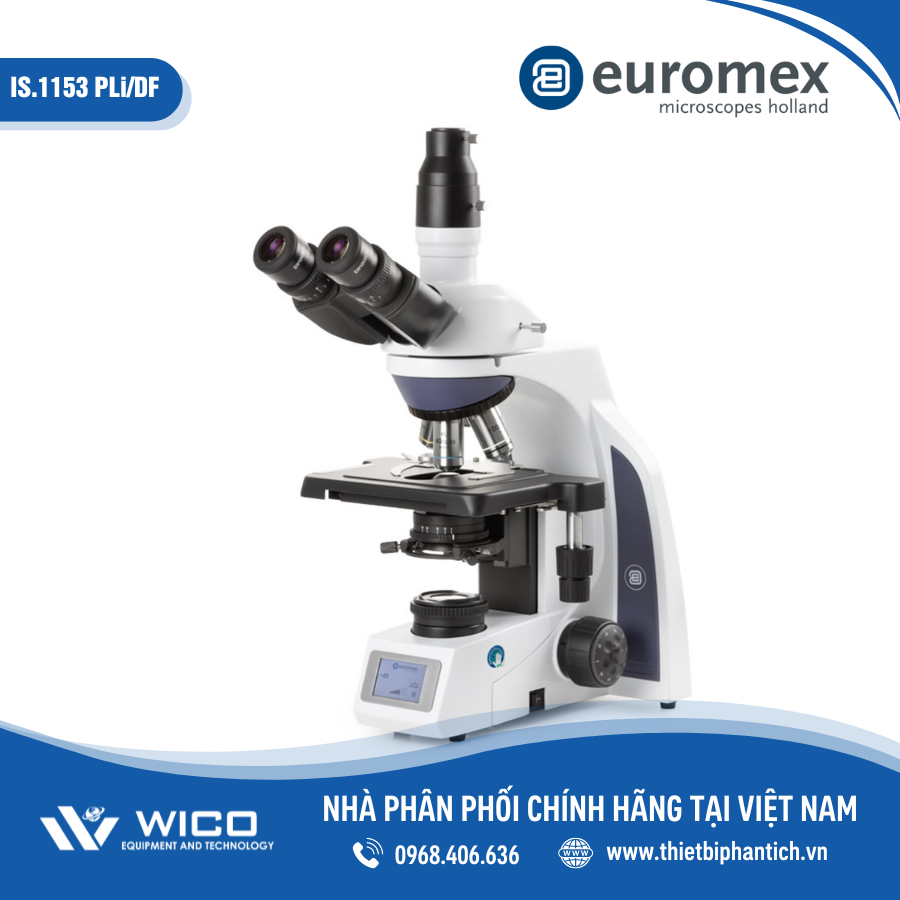 Kính hiển vi soi phản quang Euromex Í.1153-PLI/DF