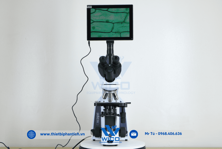 Kính Hiển Vi 3 Mắt Euromex IS.1153-EPL (Chưa bao gồm Màn hình)