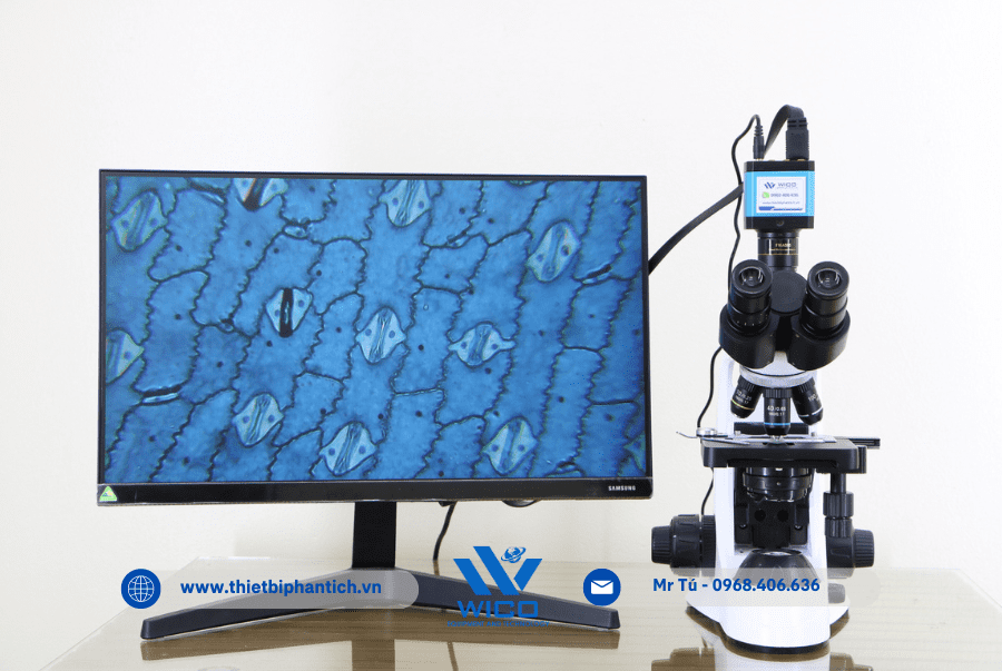 Bộ kính hiển vi sinh học ICC-1014