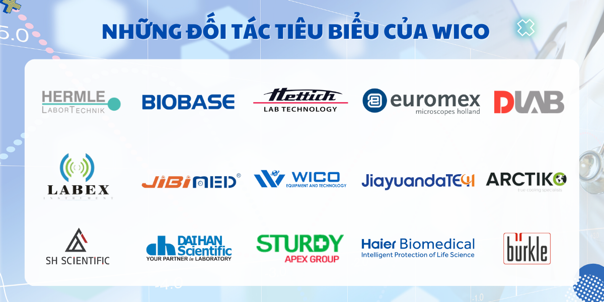 Những đối tác tiêu biểu của WICO