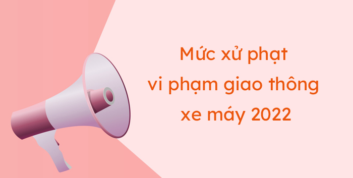 luat xu ly vi pham giao thong duong bo