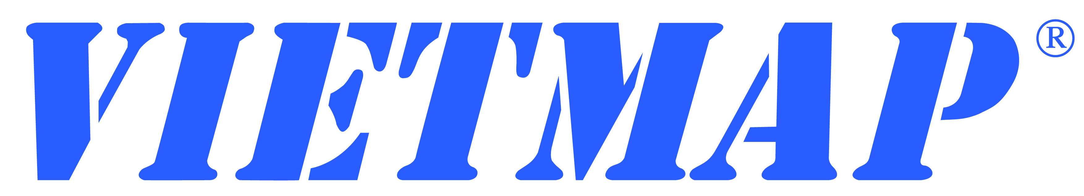 logo VIETMAP