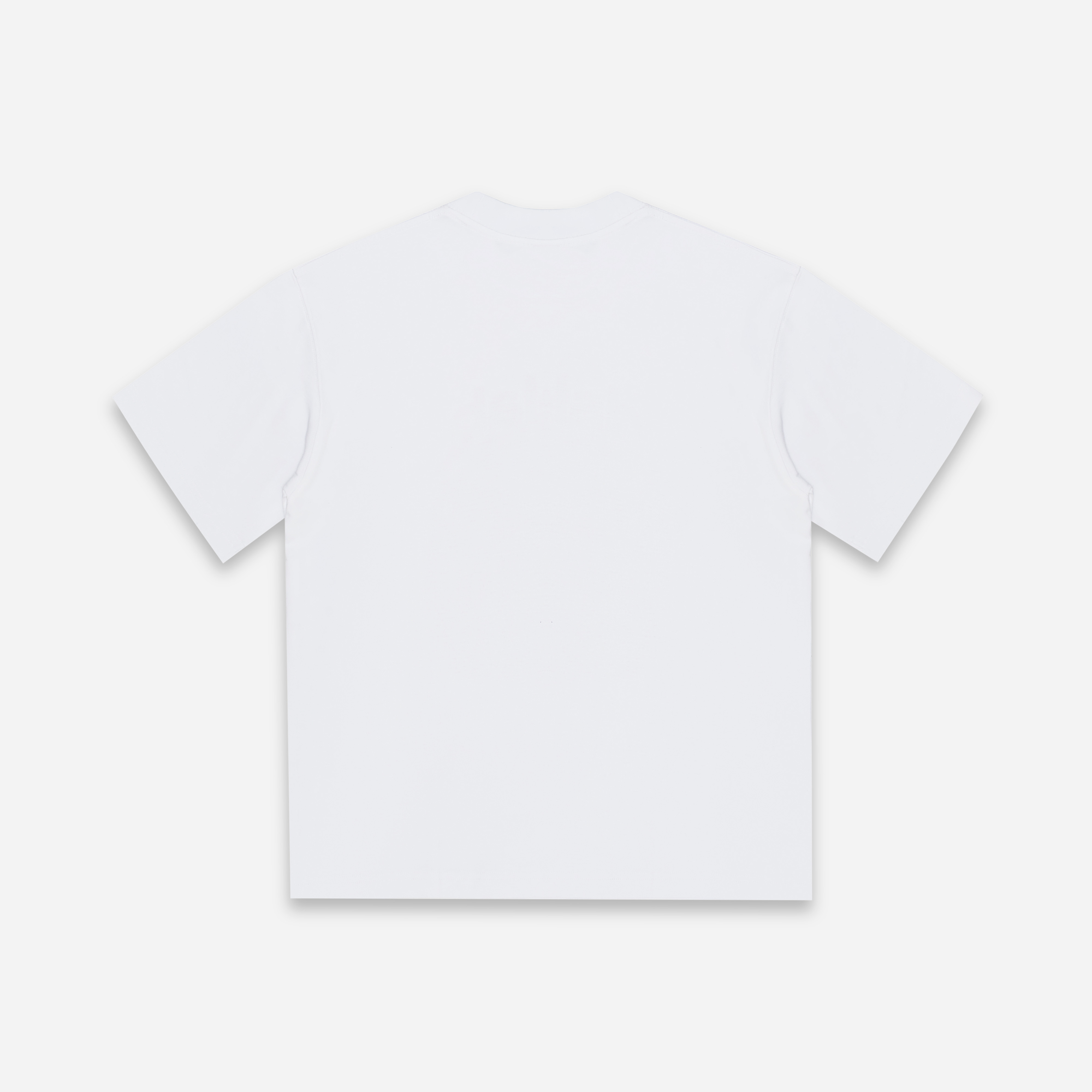 Áo Thun Local Brand Unisex Teelab Chase Your Monaco TS354