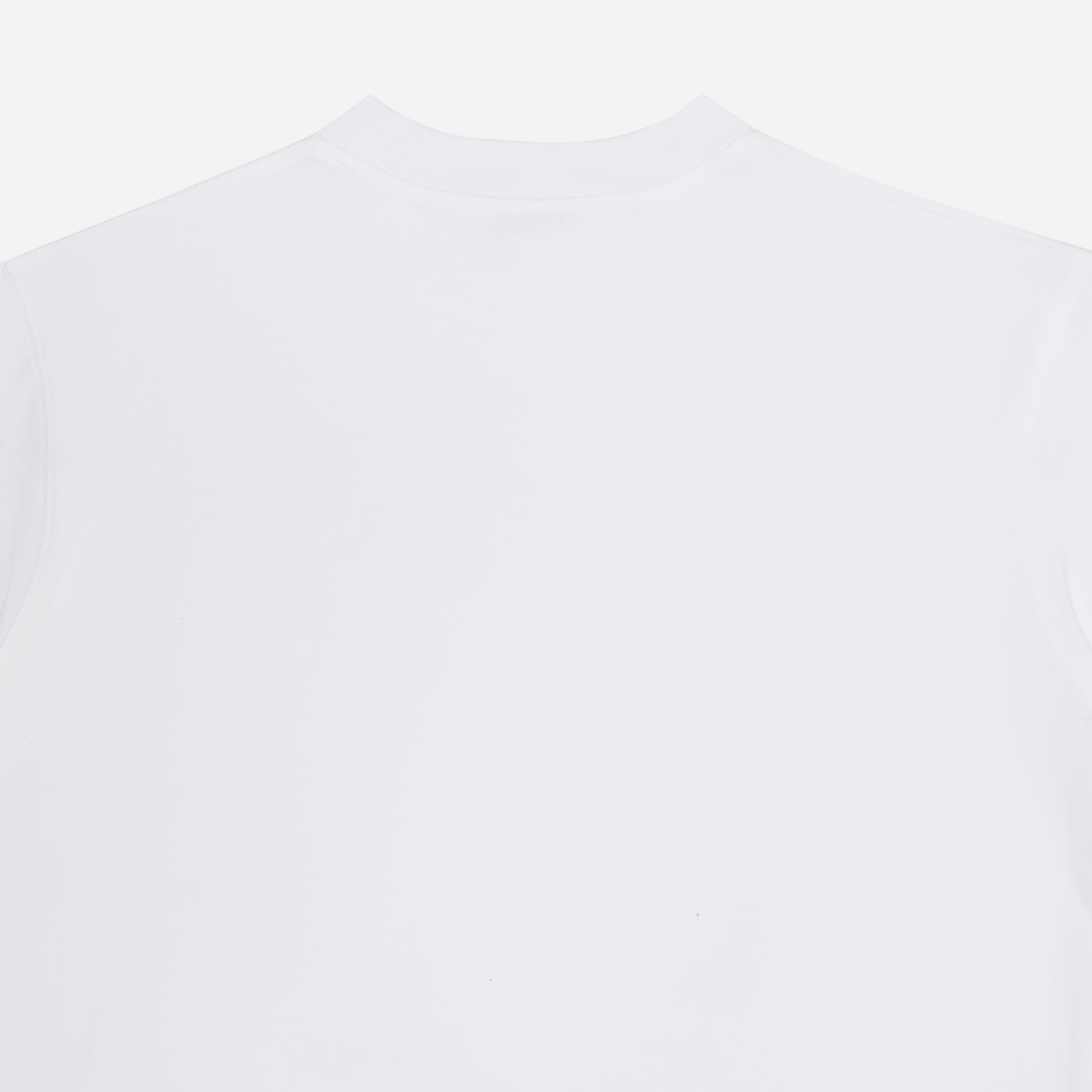 Áo Thun Local Brand Unisex Teelab Chase Your Monaco TS354