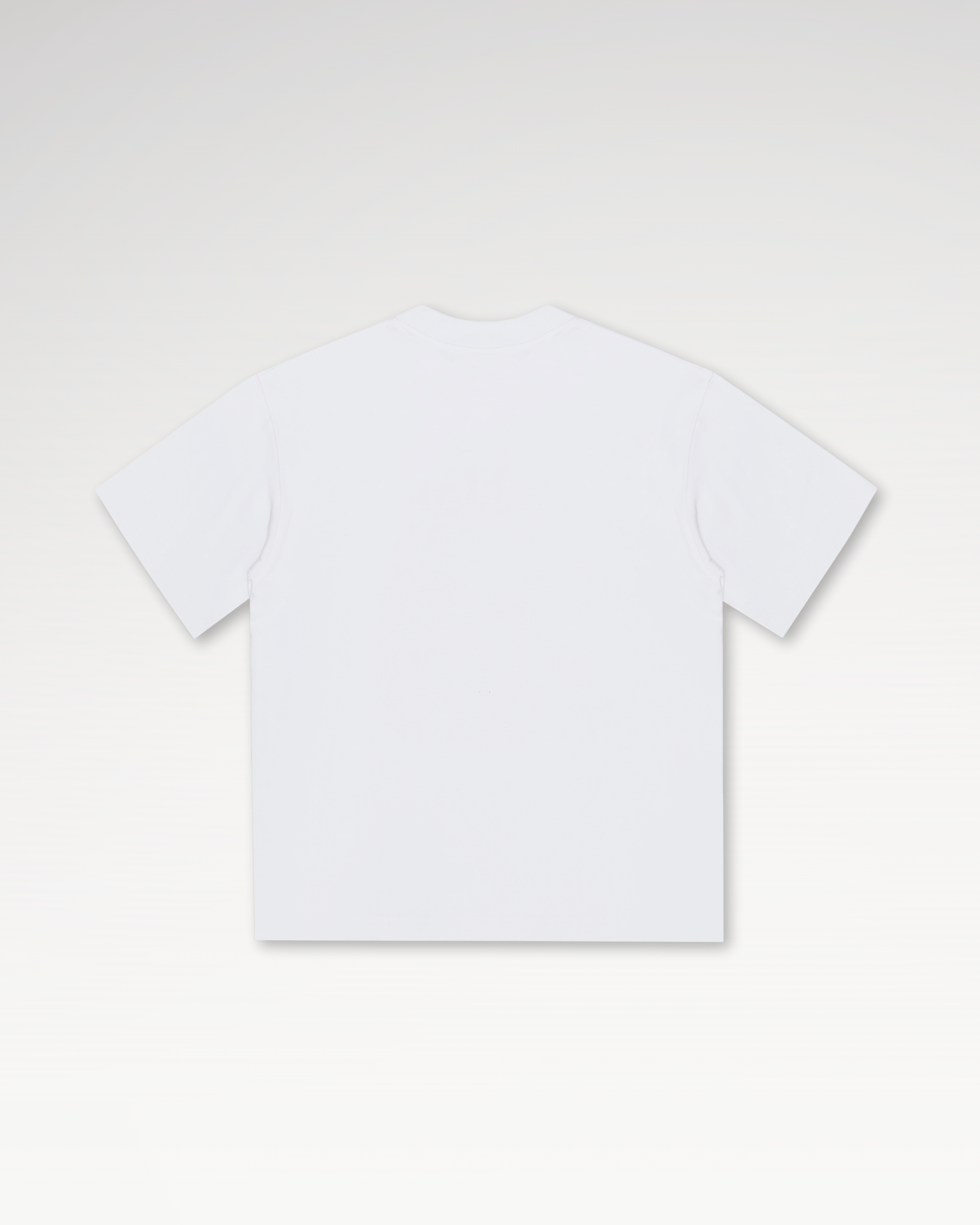 Áo Thun Local Brand Unisex Teelab Chase Your Monaco TS354