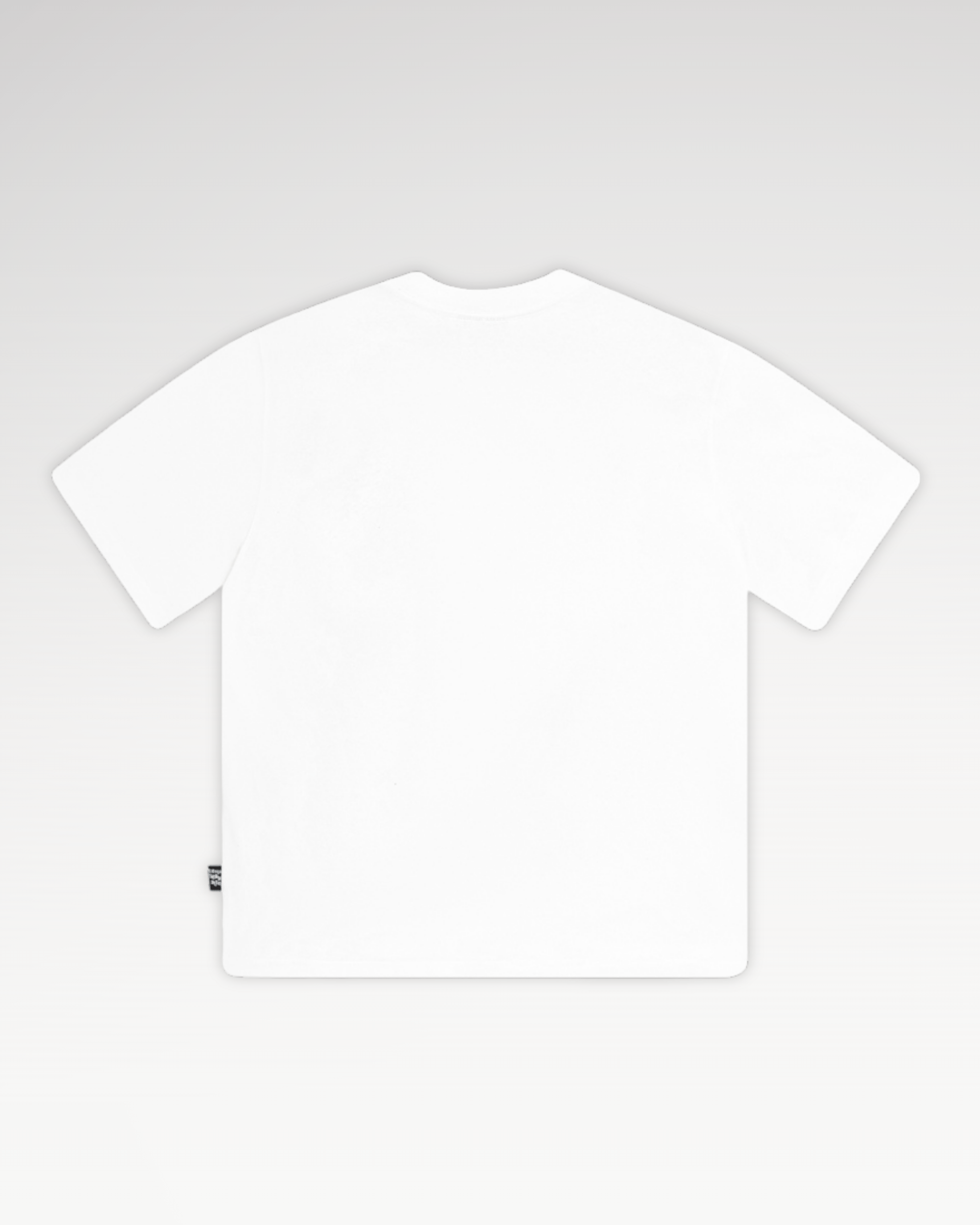 [Tặng Gấu] [Tặng Túi] Áo Thun Teelab Alter Oversize Cotton Thêu Teddy TET EDITION Unisex TS361