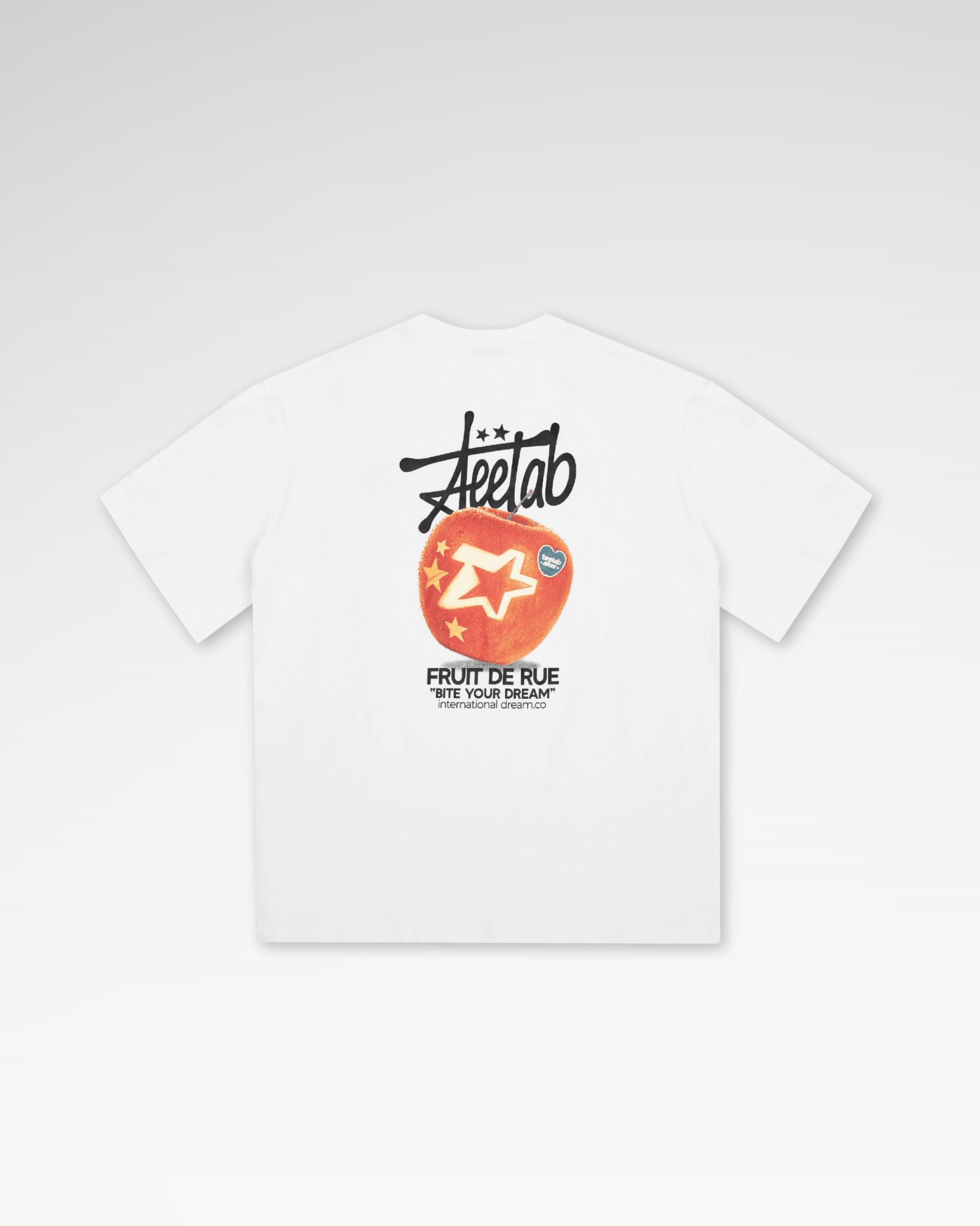 [PRE-ORDER][Tặng Gấu Ti] Áo Hoodie Local Brand Unisex Chui Nỉ Bông Teelab Alter Teddy HD132