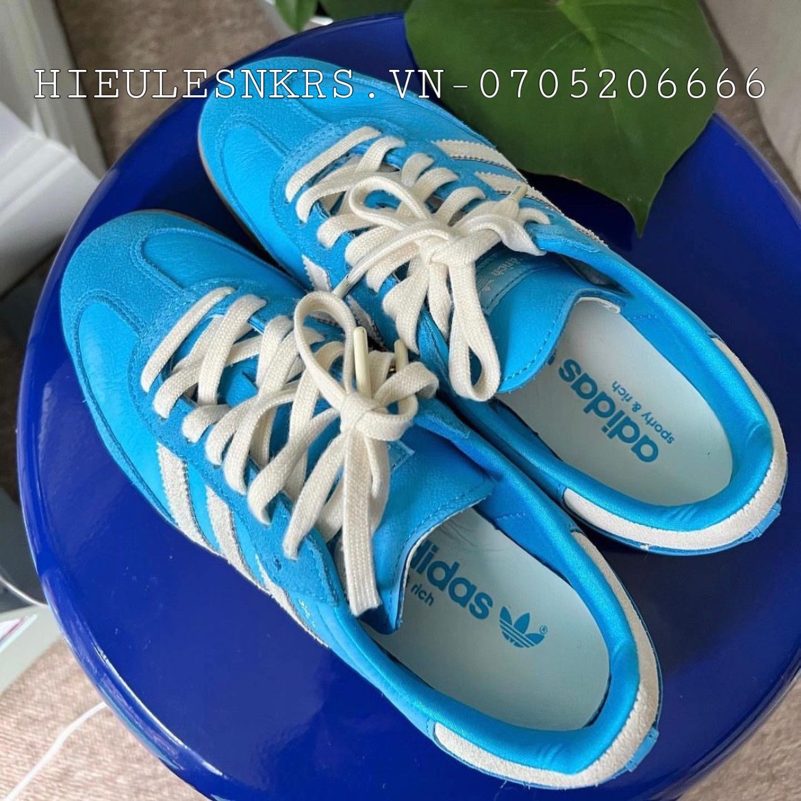 Adidas hot sale dragon xanh