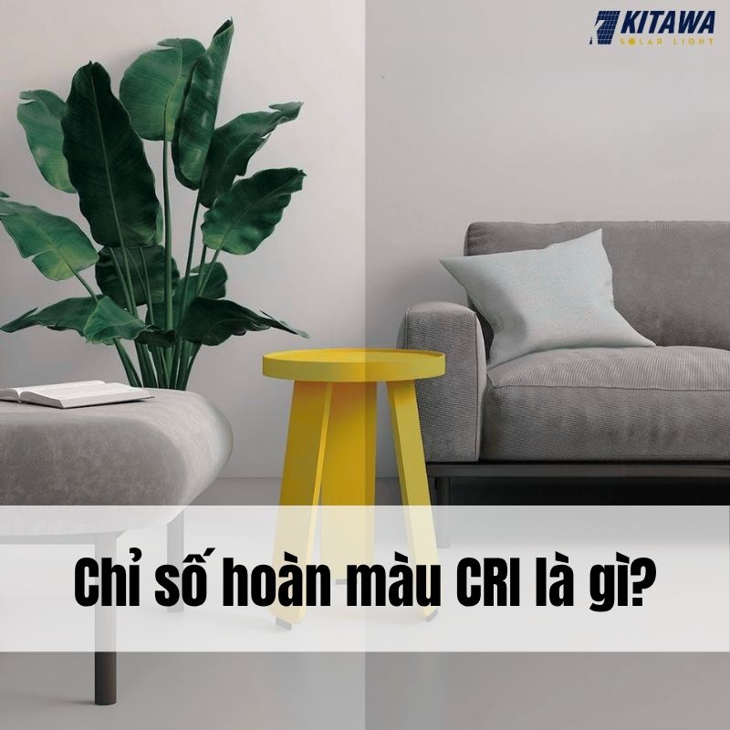 Chỉ số hoàn màu CRI là gì? Ý nghĩa và cách chọn đèn có CRI phù hợp