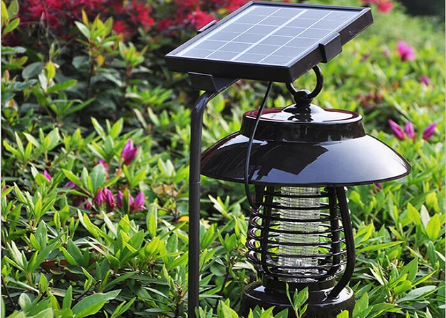 Top 4 ý tưởng trang trí sân vườn với đèn năng lượng mặt trời đẹp ...