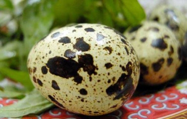 Trứng cút - Thuốc bổ quý