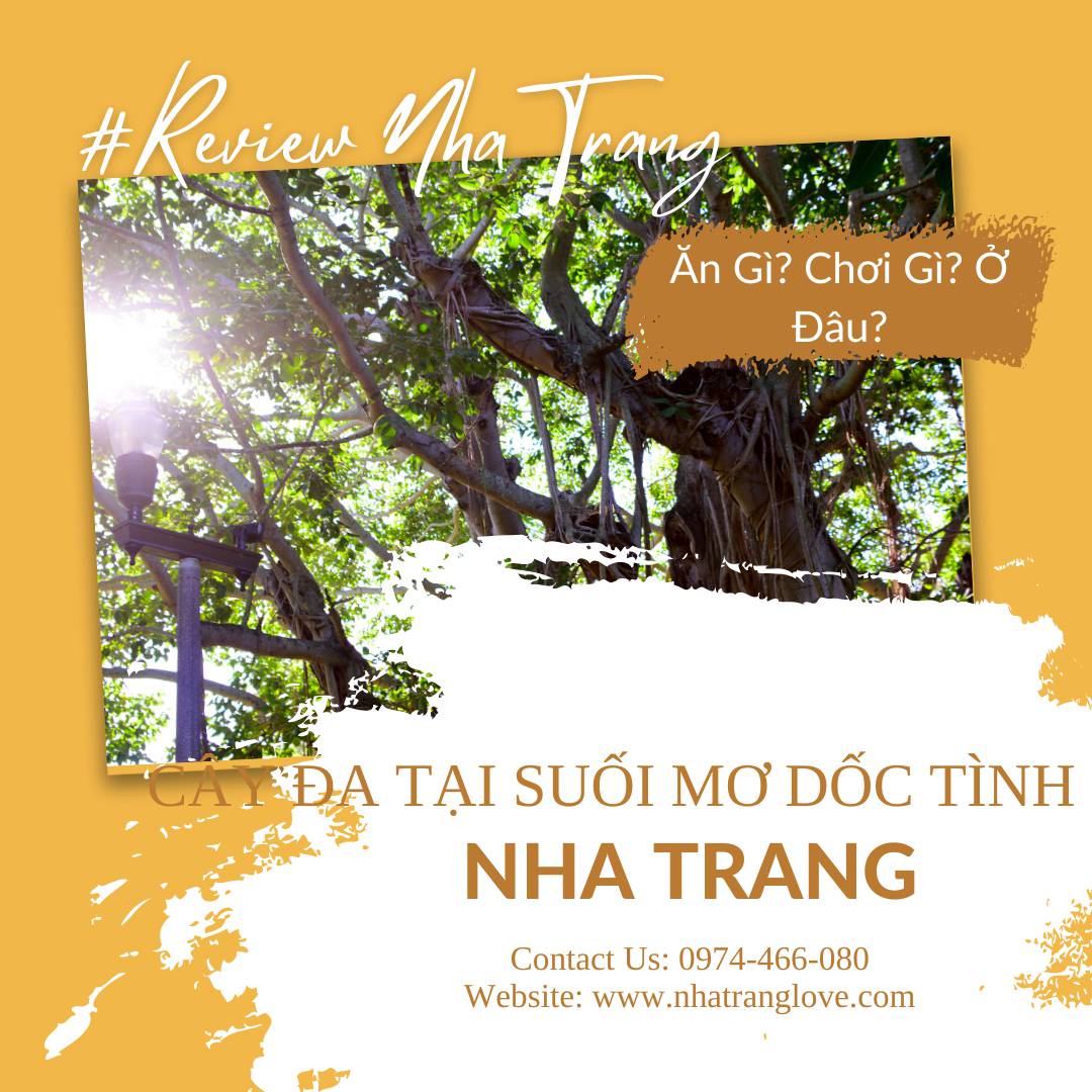 Cây Đa 300 Năm Tuổi – Biểu Tượng Lâu Đời Của Suối Mơ Dốc Tình