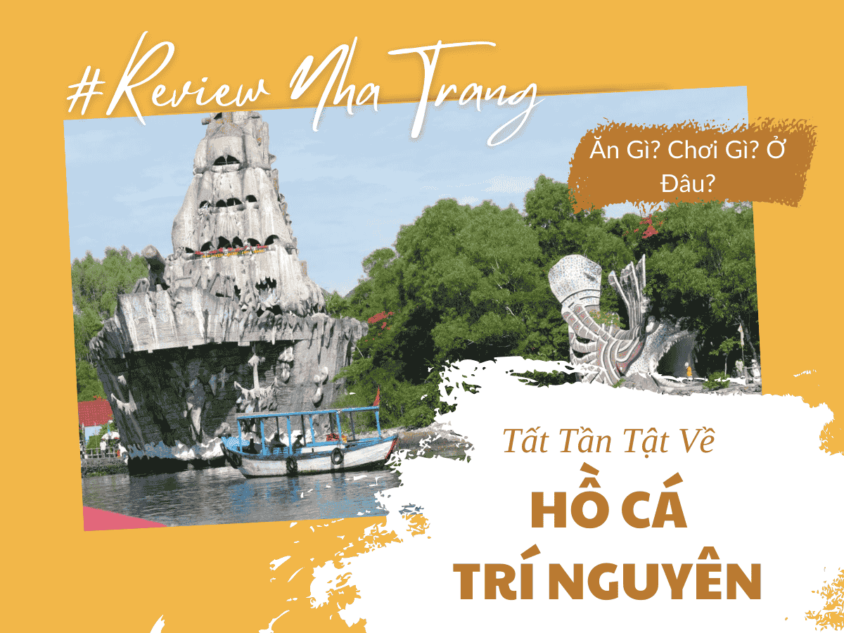 Hồ Cá Trí Nguyên – Khám Phá Bảo Tàng Sinh Vật Biển Độc Đáo