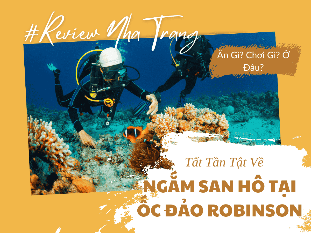 Ngắm San Hô Tại Robinson Beach Nha Trang – Khám Phá Vẻ Đẹp Dưới Lòng Biển